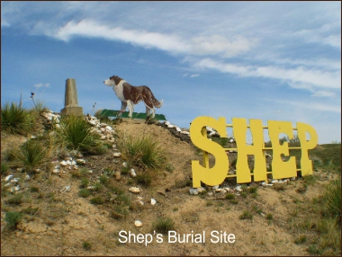Shep's Burial Site